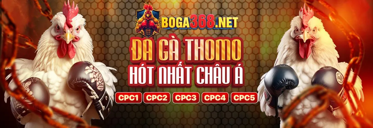 Đá Gà Trực Tuyến 99win cc - Trận Đấu Kịch Tính